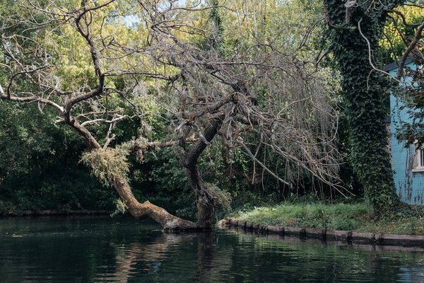 Options et Efficacité des Traitements contre le Cancer : Votre Guide Complet